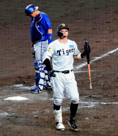 【阪神】佐藤輝明のメジャー移籍容認へwwwwwwwwwxwwwwwwwwwwwwwwwwwwwwwwwwwwwwwwwww.wwwwwwwwwwwwwwwwwwwwwww