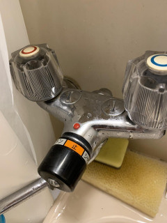 トッモを家に泊めたらシャワー壊されたんだが・・・