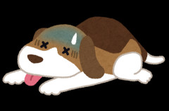 妻が10代から飼ってきた犬の病状が悪化し、私たちは睡眠不足の日々。妻は何もせず看病だけに専念している。