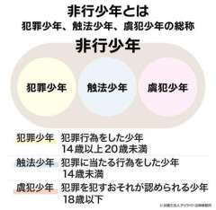【悲報】少年犯罪が増えた原因ってマジでなんなんや？