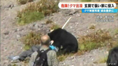 【動画】熊さん、いきなり出てきて人間を襲ってしまう