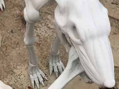 【ハロウィン】 ガイコツの置物が庭に並んでいた。お宝の山だぁ～！ → 彼はこうなります…