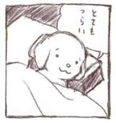 【どうなる？】なんかいろいろ本当にやばくないですか？