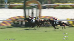 【競馬】フォーエバーヤングの弟『ヤングリッチ』のデビュー戦は3着