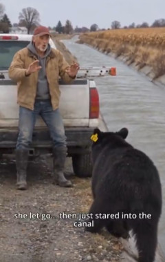 【動画】熊さん、いきなり出てきて人間を襲ってしまう
