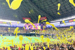 【悲報】阪神ファンやが申し訳無いけど今年は流石にソフトバンク応援するわ