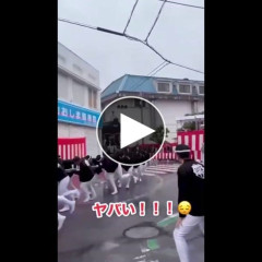 【動画】だんじり祭り、テロだった