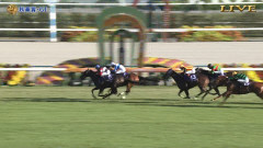 「王道抜け出し」秋華賞はモンローウォークがレコードタイで勝利！無敗の秋華賞馬に！【ウマ娘民の反応】