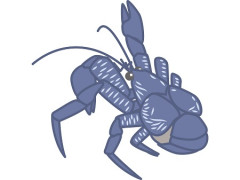 ヤシガニ料理で旅行者が食中毒に 27年ぶり「まれな例」 宮古島市内のレストラン