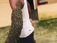 片腕がハチの群れでびっしり、防護服なしで通りを歩く男性、手の中には女王バチがいるらしい「くしゃみが出たらどうすんの」【海外の反応】