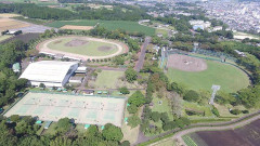 【フェニックス】DeNA 7－12 ヤクルト、先発金渕3回10失点…関根が猛打賞でアピール