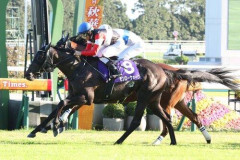 【朗報】秋華賞、圧倒的1番人気モンローウォークが無傷5連勝で初G1制覇