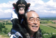 【動画あり】天才チンパンジー・パンくん、ネットでは「野生化した」「凶暴化した」と言われているけど現在はこんな感じです