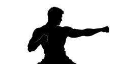 お前ら「すごい格闘家が日本から出てきた！」ワイ「ほーん、どれどれ？」