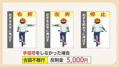 【悲報】自転車の手信号、一度も見たことない