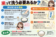 米って洗う必要あるか？