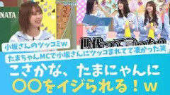 こさかなさん、ぱるの次はたまにゃんにイジられる？【KO ZH EN ES RU SUB】#한국어 자막