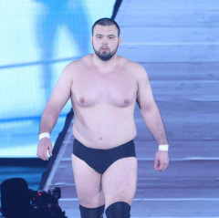 【謎】プロレスラー・ウルフアロン（柔道金メダリスト）が意外とパッとしない理由