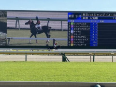 【東京ハイジャンプ】ジューンベロシティ＆高田騎手がｷﾀ━━━━(ﾟ∀ﾟ)━━━━!!