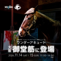 11/14・15にワンダーアキュートがYogibo Store 御堂筋本町店にやってくる!
