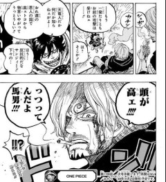【悲報】今週のワンピース、ついにサンジが覚醒か！！！！！！