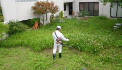 【悲報】庭付き戸建てってガチで庭いらんよな