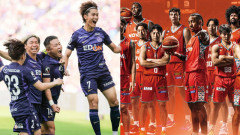 サンフレッチェ&ドラゴンフライズが7連勝で首位！←カープも負けてられない