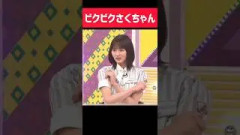 ビビりまくるさくちゃん
