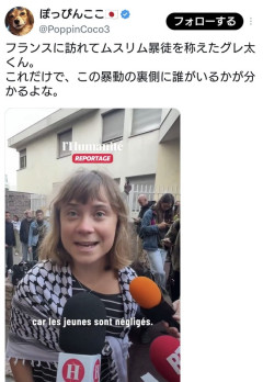 【画像】グレタさん、フランスのデモに登場「あなたたちは素晴らしいと絶賛しております」