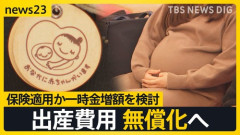 出産費用無償化＋現金給付が外国人も対象だと判明し大炎上中