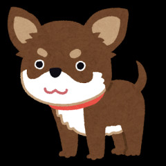 【脱線】彼が飼えないからと引き取った犬の手術日に祭りに行こうと誘ってきた彼。その後犬取り上げて土下座しろとも言われた