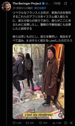 【動画】フェルメールみたいな女、たった一人でパリの暴徒に立ち向かう