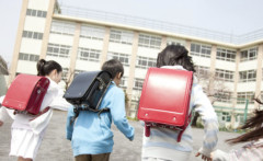 【悲報】小学校の体育館の「これ」いじってた奴、発達障害と認定へ