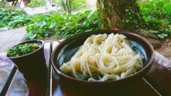 【悲報】釜玉うどん発祥の超有名店、『とんでもない過去』が判明してしまう！！