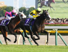 【悲報】おぎやはぎ小木、競馬番組の裏側を暴露「馬の足音は録音を使い回ししてるだけ」