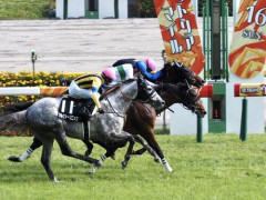 【悲報】テイエムオペラオーとかロブチェンとか着差ないのに連勝している馬が最強という風潮