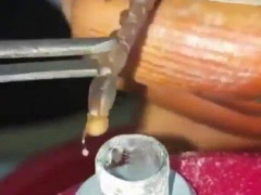 サソリの尻尾をピンセットでつまみ、毒を一滴ずつ小さなカップに集める作業「プリンターのインクより高いじゃん」【海外の反応】