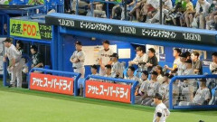 【悲報】巨人さん、ガチで監督が決まらないｗｗｗｗｗｗｗｗｗｗ