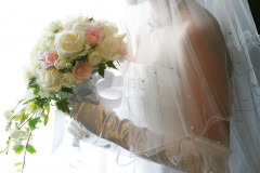 母が結婚式のドレス選びに付き合ってほしいと言ってしつこいんだけど、本当に困っています…