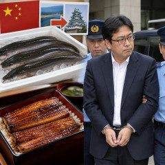 中国産ウナギを「愛知から仕入れ」と表示し販売 京都の飲食店会社社長の男を容疑で逮捕 容疑を否認   |  うなぎって国産か中国産か食ってわかるやついる？