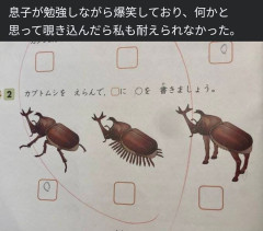 【驚き】日本の小学校のカブトムシ問題、韓国側は「3番が強そう」
