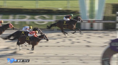 【ブラジルC】クールミラボー＆横山武史騎手がｷﾀ━━━━(ﾟ∀ﾟ)━━━━!!