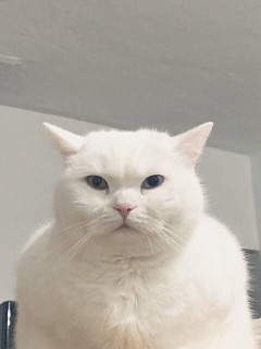 持病があって、数種類の薬を一生飲み続けなければならない私。病院帰り、ママ友とお茶をして帰ると薬が無い！→数日後にママ友の子供が救急車で病院に運ばれた。そして・・・