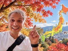 外国人「紅葉が待ちきれない！」ONLY in JAPAN * GOが日本の秋の色を紹介してる