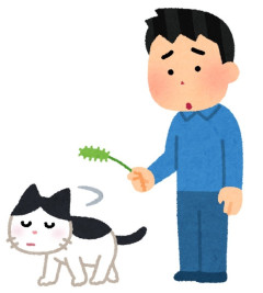 猫に好かれる方法