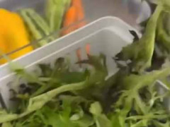 私が新鮮な野菜をもらってきた。どれどれ？私がチェックしてあげよう → 可愛い彼女はこうします…