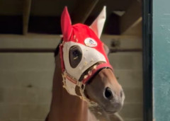 【競馬】フォーエバーヤングとシンエンペラーが決戦の地『キーンランド競馬場』に到着