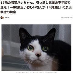 【画像あり】４３日間行方不明だった１５歳の女の子、全裸の状態で発見される