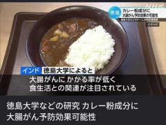【朗報】カレー粉に含まれる「クルクミン」に大腸がんの予防効果がある可能性