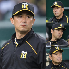 阪神、また激震！ 上本博紀コーチまで退団… 藤本、小谷野コーチに続きの異例事態 和田ヘッドも巡回コーディネーターへ   #野球 |  藤川の解説者時代を思い返せば理解できるよ